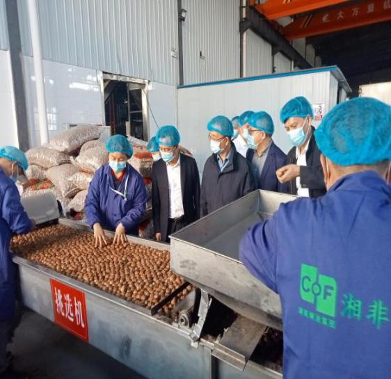省商务厅副厅长李心球率队赴湘非国际公司推进中非坚果产业园项目